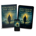 Book-Stillness-in-the-storm-packshot