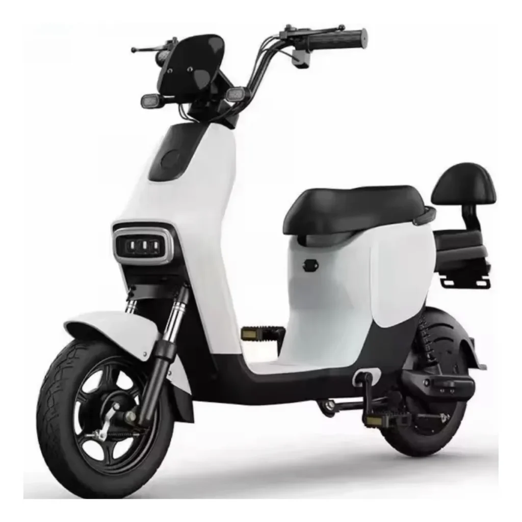 Bike eletrica-TFG-1000w